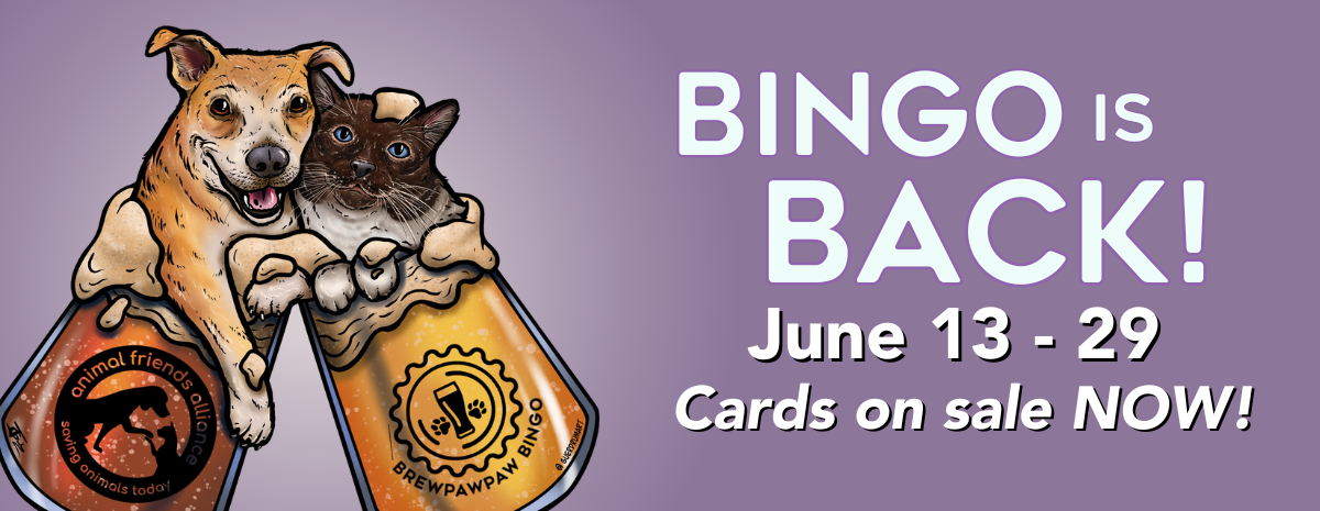 BrewPawPaw Bingo 2025